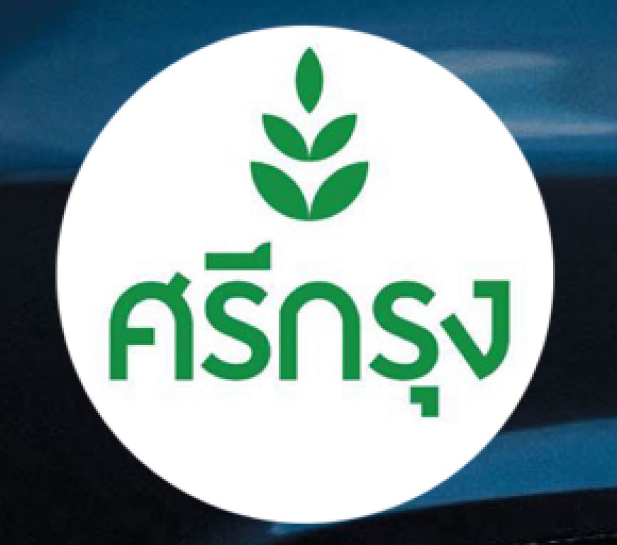 ปรัชญา ภัทร์ศิริกุล